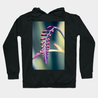 Crocosmia in Bud Hoodie